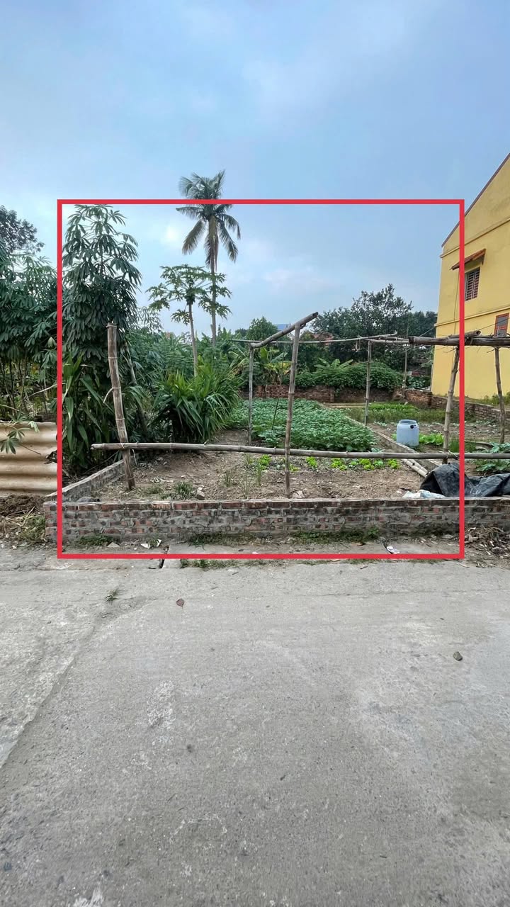 Đất thổ cư 77m² tại Cao Minh, Phúc Yên - Tiềm năng đầu tư lớn chỉ 1.4 tỷ!