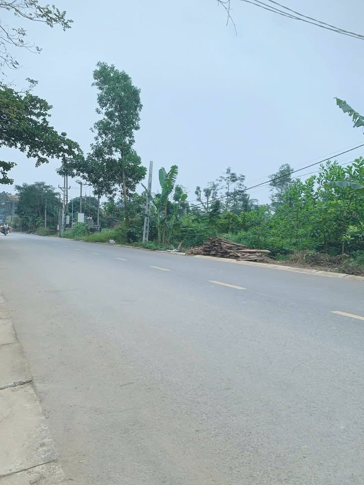 Đất nền 144m² tại xã Thuận Minh, Thọ Xuân - Giá siêu mềm chỉ 5xx triệu