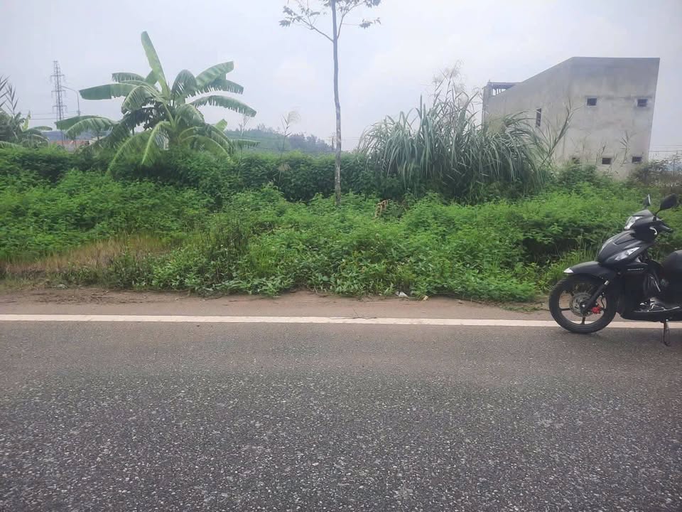 Đất nền đẹp Lô D-06, Thị trấn Rừng Thông, TP Thanh Hóa - Chỉ 2,09 tỷ - Sổ đỏ chính chủ!