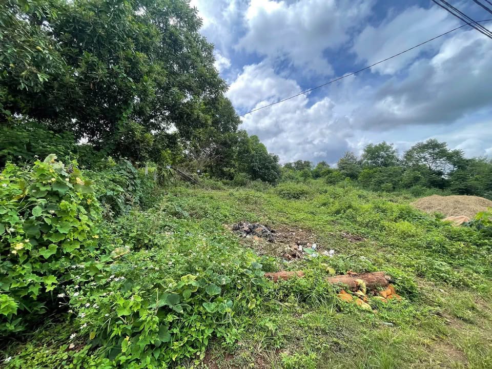 Đất Hòa Thắng Buôn Ma Thuột 312m² giá 1.29 tỷ - Sổ riêng, thương lượng nhẹ!