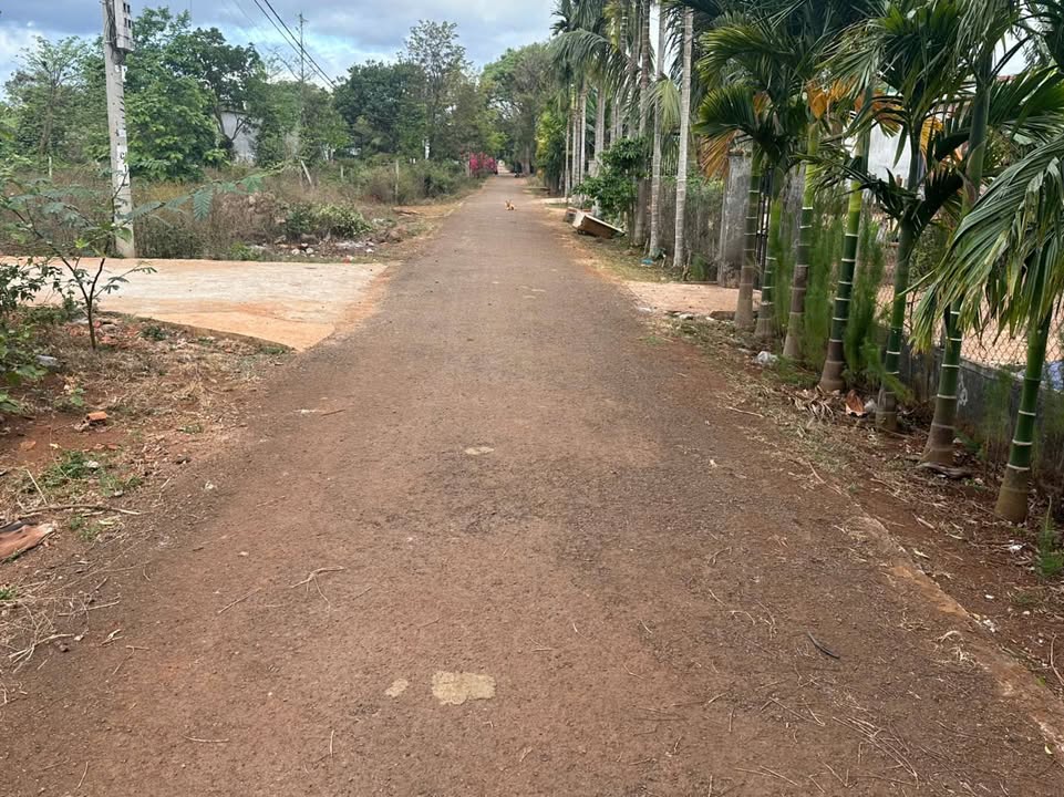 Đất thổ cư phường Tân An 120m² giá 1.27 tỷ - Đường nhựa, khu dân cư sầm uất!