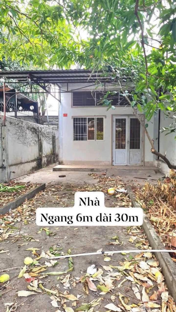 Nhà cấp 4 đường Mạc Đỉnh Chi, Cà Mau 180m² - Vị trí trung tâm, giá tốt!