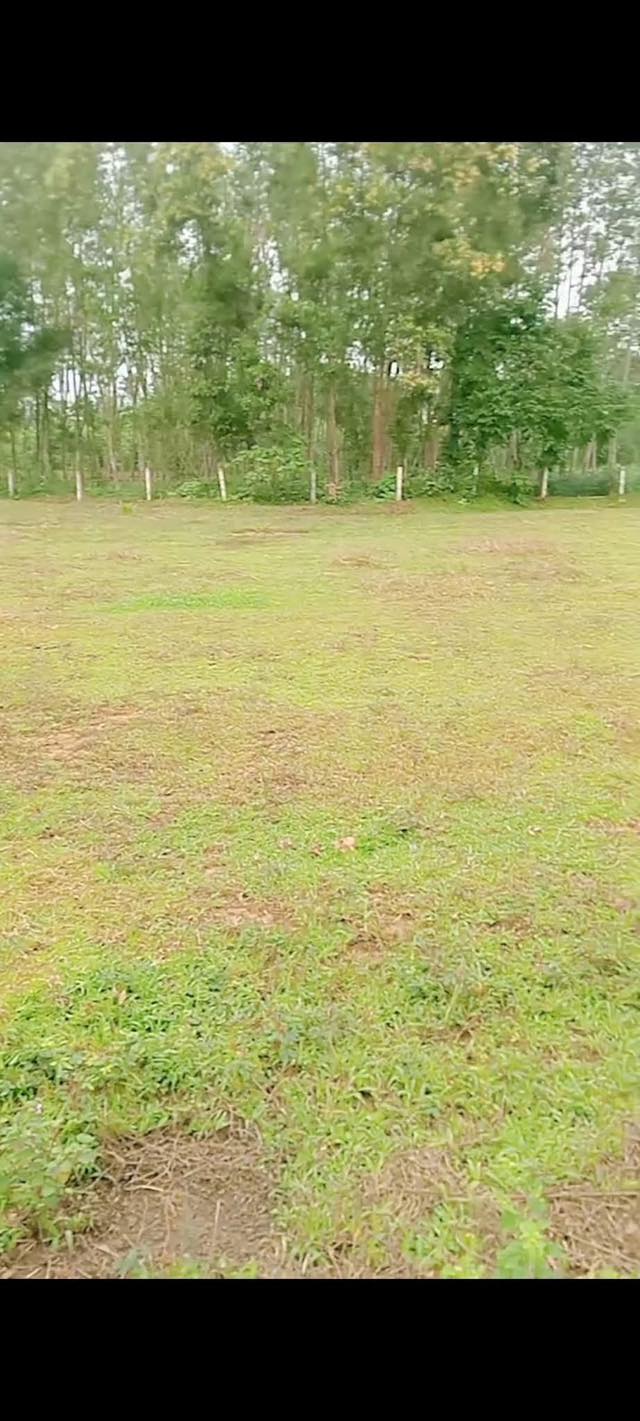 Đất ở Hương Xuân, Hương Khê 912m² giá 400 triệu - Cơ hội đầu tư hấp dẫn!