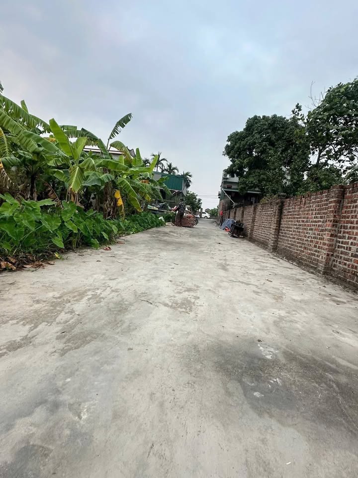 Đất nền Tân Quang Ninh Giang 85m² chỉ 500 triệu - Cơ hội không thể bỏ lỡ!