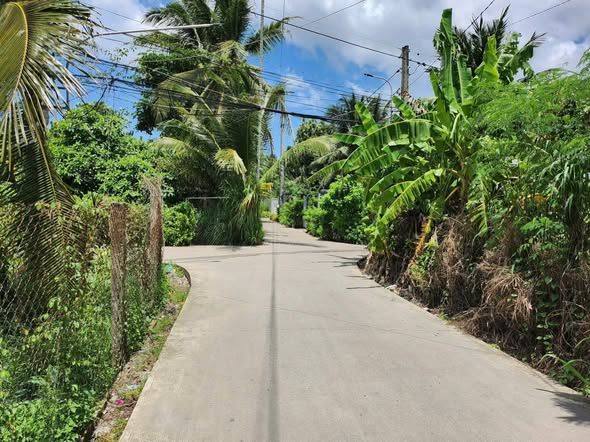 Đất nền Sơn Đông, Bến Tre 137m² giá 750 triệu - Đường ô tô vào tận nơi!