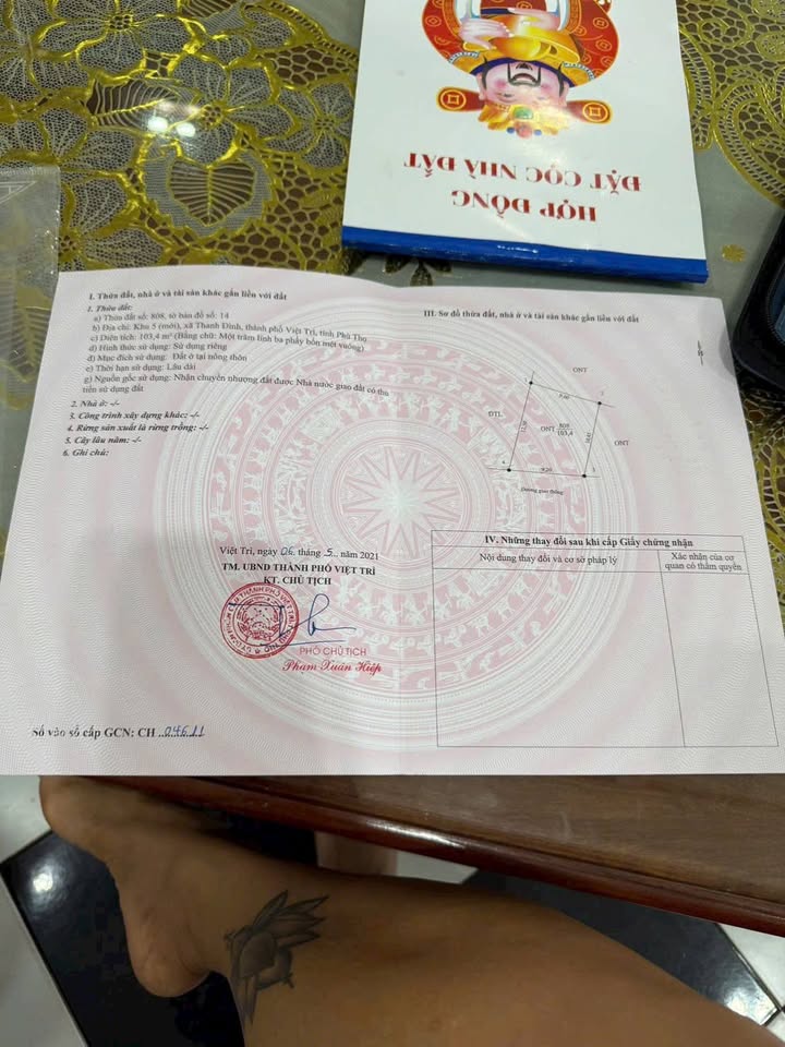 Đất nền 103m² phường Thanh Đình, Việt Trì, giá 1 tỷ - Cơ hội đầu tư tuyệt vời!