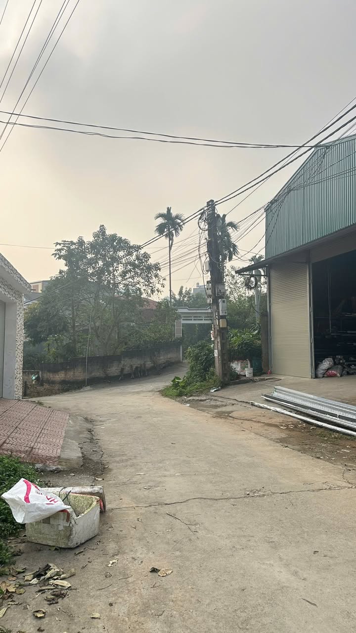 Đất Khu 12, Kim Đức, Việt Trì 66m² giá tốt - Mặt tiền rộng, giao thông thuận lợi!