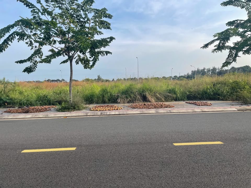 Đất nền Trần Đại Nghĩa, Rạch Dừa, 74m² giá 8 tỷ - Vị trí đắc địa đầu tư!