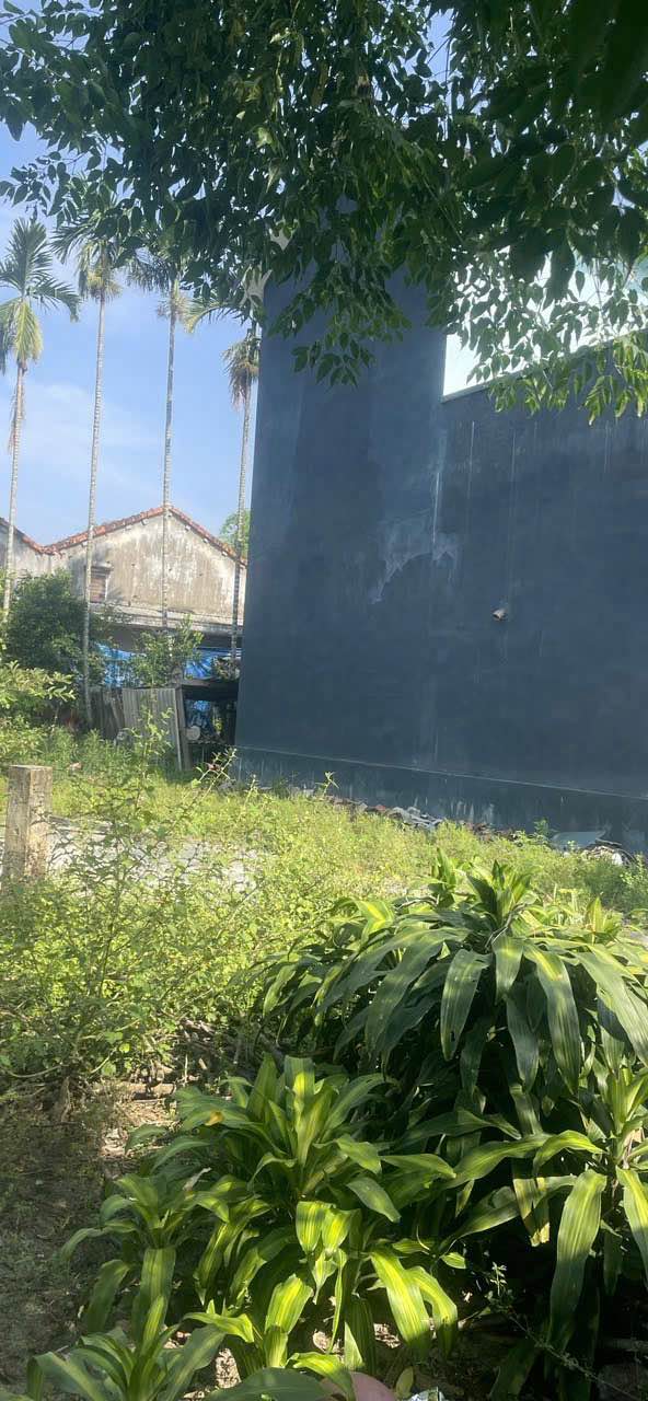 Đất nền Trường Xuân, Tam Kỳ 135m² chỉ 900 triệu - Giá tốt cho đầu tư!