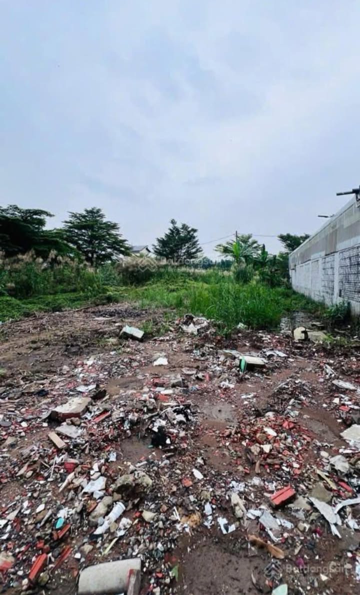 Đất 130m² mặt tiền kinh doanh đường Số, Hiệp Bình Chánh - Chỉ 13 tỷ!