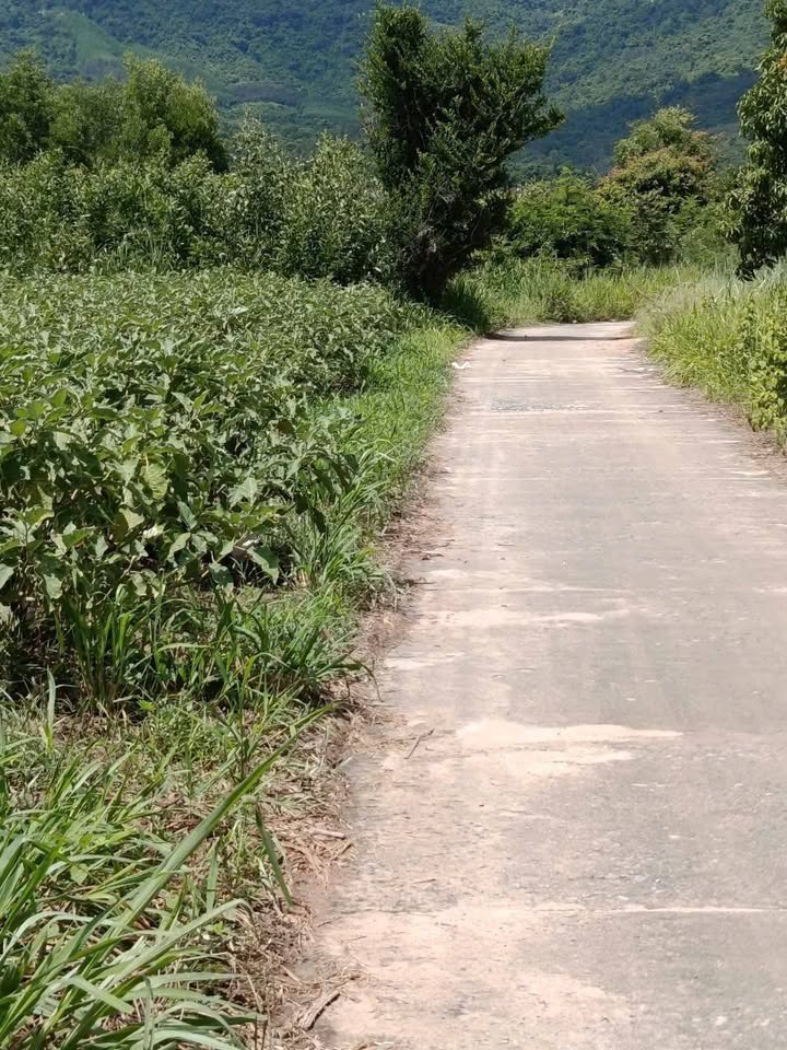 Đất nền Cam Thành Nam 1772m² giá 650 triệu - Cơ hội đầu tư hấp dẫn!