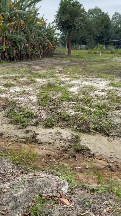 Đất nền liền kề Thăng Bình 210m² giá chỉ 400 triệu - Đầu tư sinh lời cao!