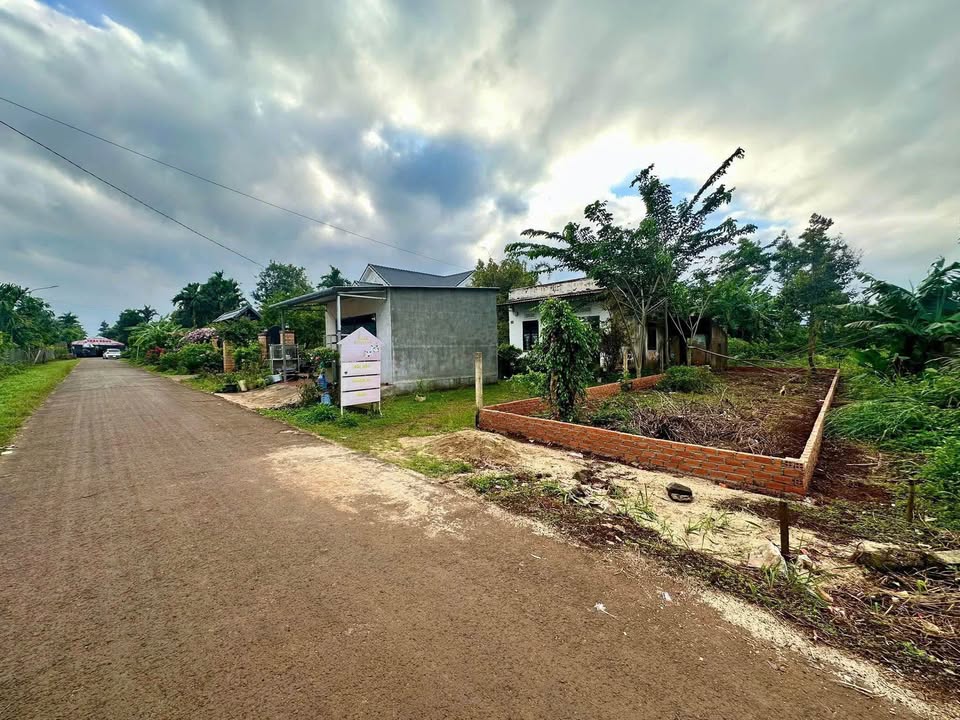 Đất mặt tiền D5 Tân An 110m² giá chỉ 900 triệu - Cơ hội đầu tư tuyệt vời!