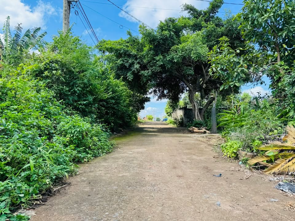 Đất thổ cư chính chủ Phường Khánh Xuân 350m² giá 1.2 tỷ - Đầu tư sinh lời lý tưởng!