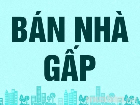 Nhà riêng Gò Vấp 50m² giá 4 tỷ - Sổ hồng chính chủ, gần ngã 5