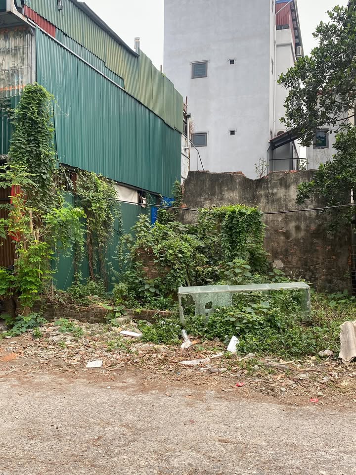 Đất nền Giang Biên 58m² giá 6.95 tỷ - View sông, đường 10m thoáng đãng!