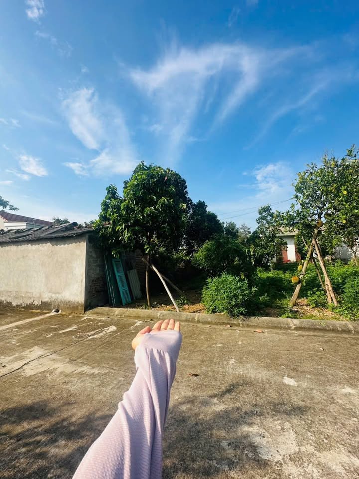 Đất nền Bình Yên Thạch Thất 71m² giá 1.8 tỷ - Đường rộng ô tô tránh nhau!