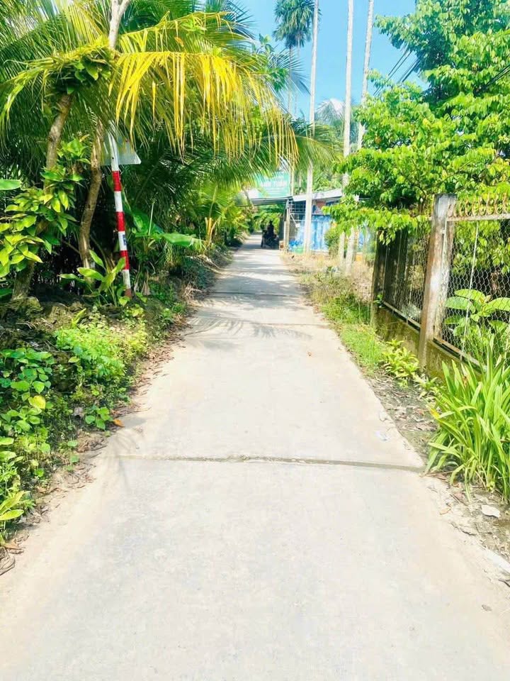 Đất nền đẹp tại Thới An Đông, Bình Thủy 81m² giá chỉ 300 triệu - Xây dựng ngay!