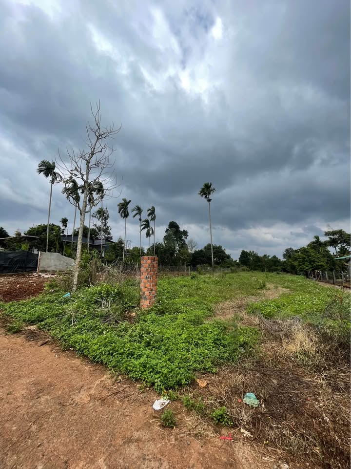 Đất nền Tân Lập - Buôn Ma Thuột 952m² giá 1.99 tỷ - Cơ hội đầu tư tuyệt vời!