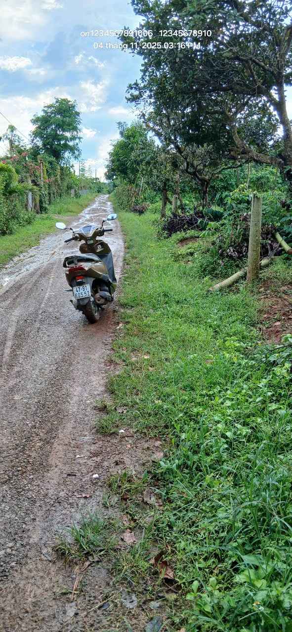 Đất nền Ea M'Droh 100m² giá thỏa thuận - Đầu tư sinh lời ngay!