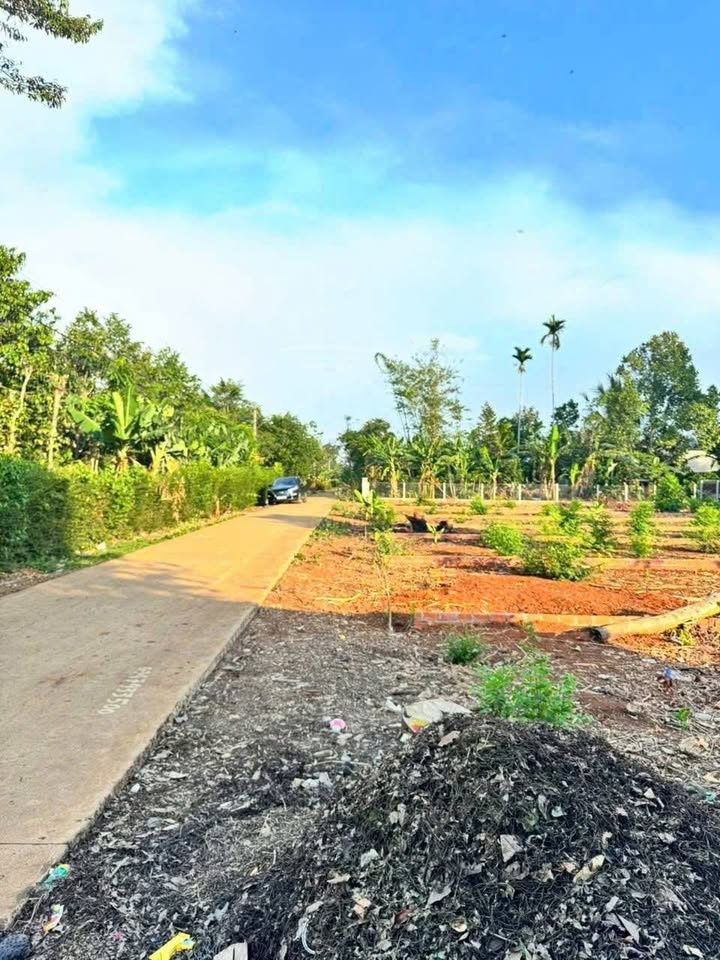 Đất nền Cuôr Đăng, Cư M'gar 113m² chỉ 550 triệu - Sổ đỏ chính chủ, giao dịch nhanh!