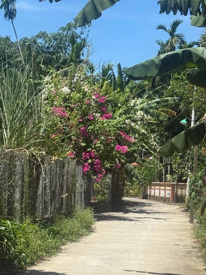 Đất vườn Tịnh Khê 140m² giá chỉ 600 triệu - Không khí an lành chờ đón bạn!