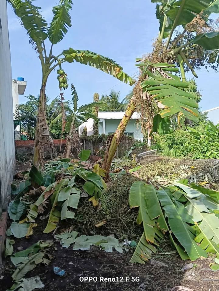 Đất nền Phường Phú Khương Bến Tre 150m² giá 1.79 tỷ - Sổ đỏ chính chủ