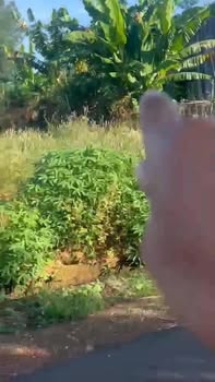 Đất nền Xuân Sơn Châu Đức 2700m² giá 3 tỷ - Khu đông dân cư, đầu tư sinh lời!