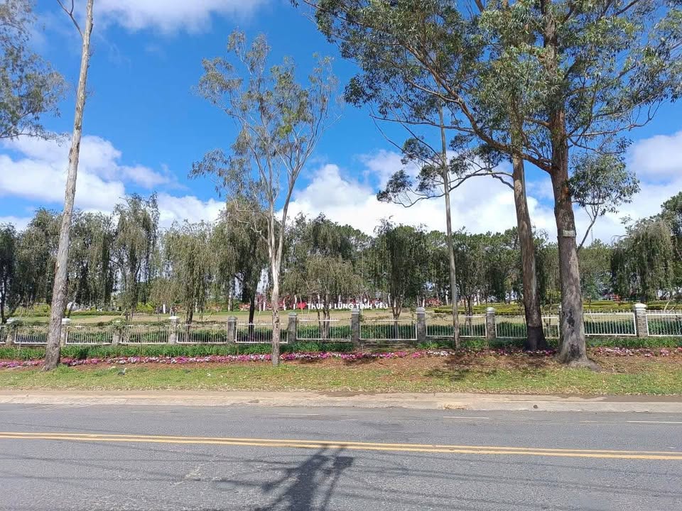 Lô đất 4 mặt tiền đường Mai Anh Đào, Đà Lạt 1.045m² - Vị trí vàng phát triển dịch vụ