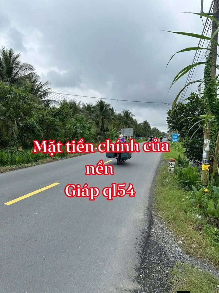 Đất nền 1350m² xã Tân Quới, huyện Bình Tân - Sổ hồng, giá chỉ 4 tỷ!