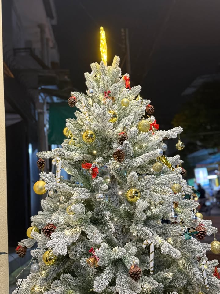 Đất nền Trần Đại Nghĩa, Quảng Phú, Đắk Lắk 84m² giá 180 triệu - Cơ hội đầu tư hấp dẫn!