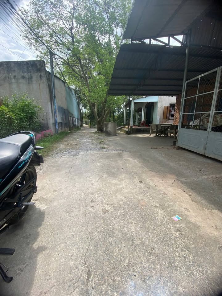 Đất nền Tân Hiệp, Bình Dương 115m² giá 1.3 tỷ - Sổ hồng chính chủ, vị trí đắc địa!