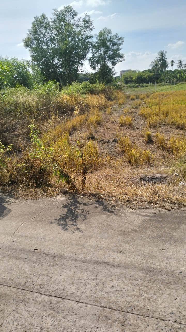 Đất Tân Châu Tây Ninh 5200m² giá 5.2 tỷ - Đầu tư sinh lời ngay!