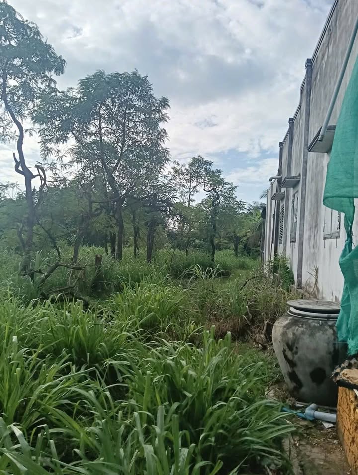 Đất nền Tân Đông Gò Công Đông 566m² giá 566 triệu - Chủ bán gấp, thương lượng nhẹ!