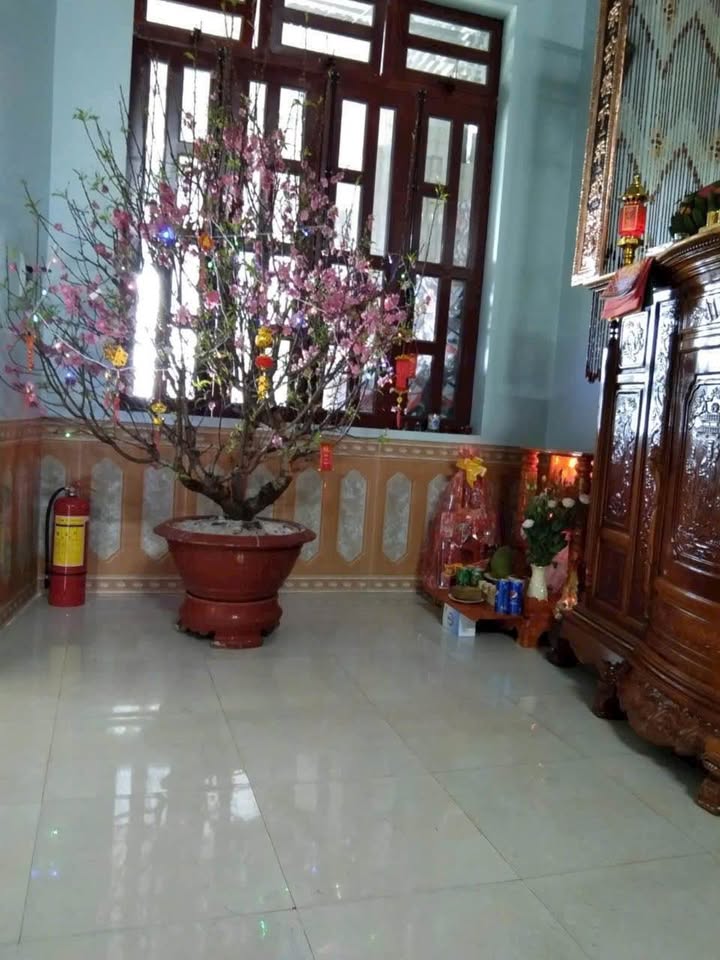 Nhà cấp 4 mặt tiền đường Cô Bắc, Liên Nghĩa, 130m² - Cơ hội sở hữu giá tốt!