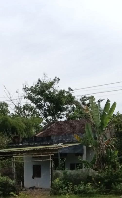 Nhà nhỏ hẻm số 4 đường 26/3 Đạ Tẻh 325m² giá 1.2 tỷ - Cơ hội đầu tư hấp dẫn!