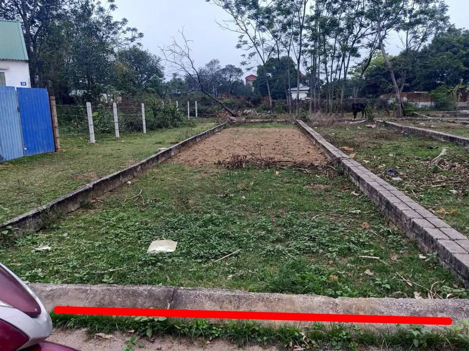 Lô đất góc 96,4m² Hạ Bằng, Thạch Thất - Giá cực tốt cho nhà đầu tư!