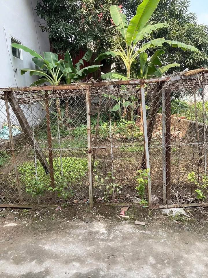 Đất nền Thôn 1, xã Đông Mỹ, 50m² giá 4.55 tỷ - Lô đẹp, giá tốt!