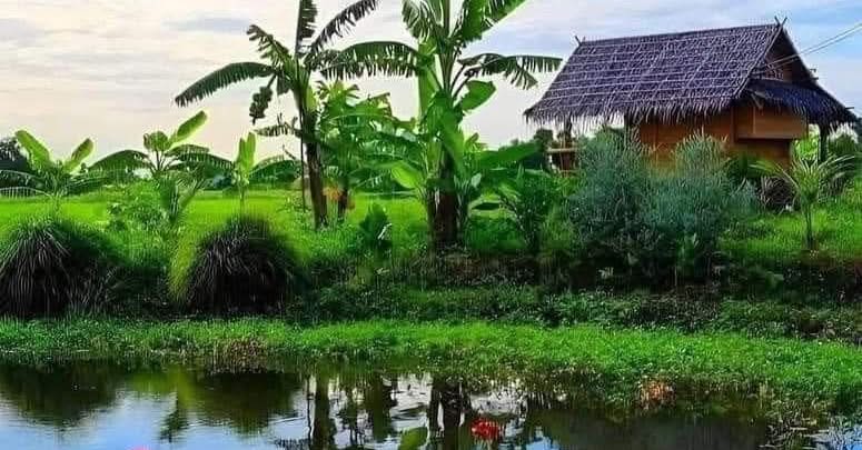 Đất nền 72m² Trần Quốc Toản, Pleiku giá 1.45 tỷ - Đầu tư sinh lời ngay!