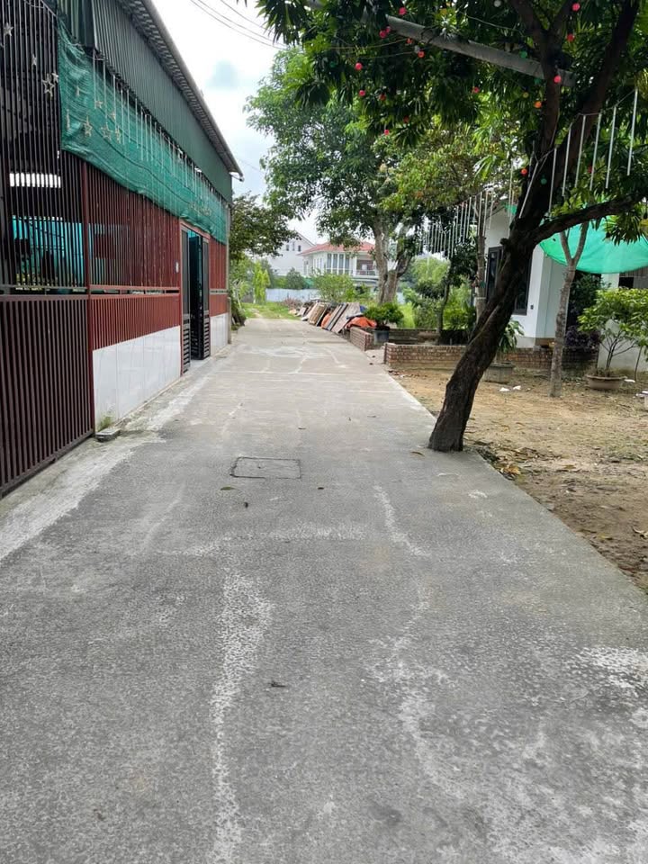 Đất nền Nghi Phú 182m² giá 4.914 tỷ - Đầu tư sinh lời ngay!