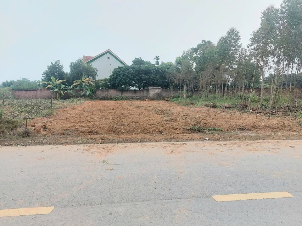 Đất nền đẹp tại Thanh Đình, Việt Trì 181.5m² giá chỉ 1.9 tỷ - Đầu tư sinh lời!