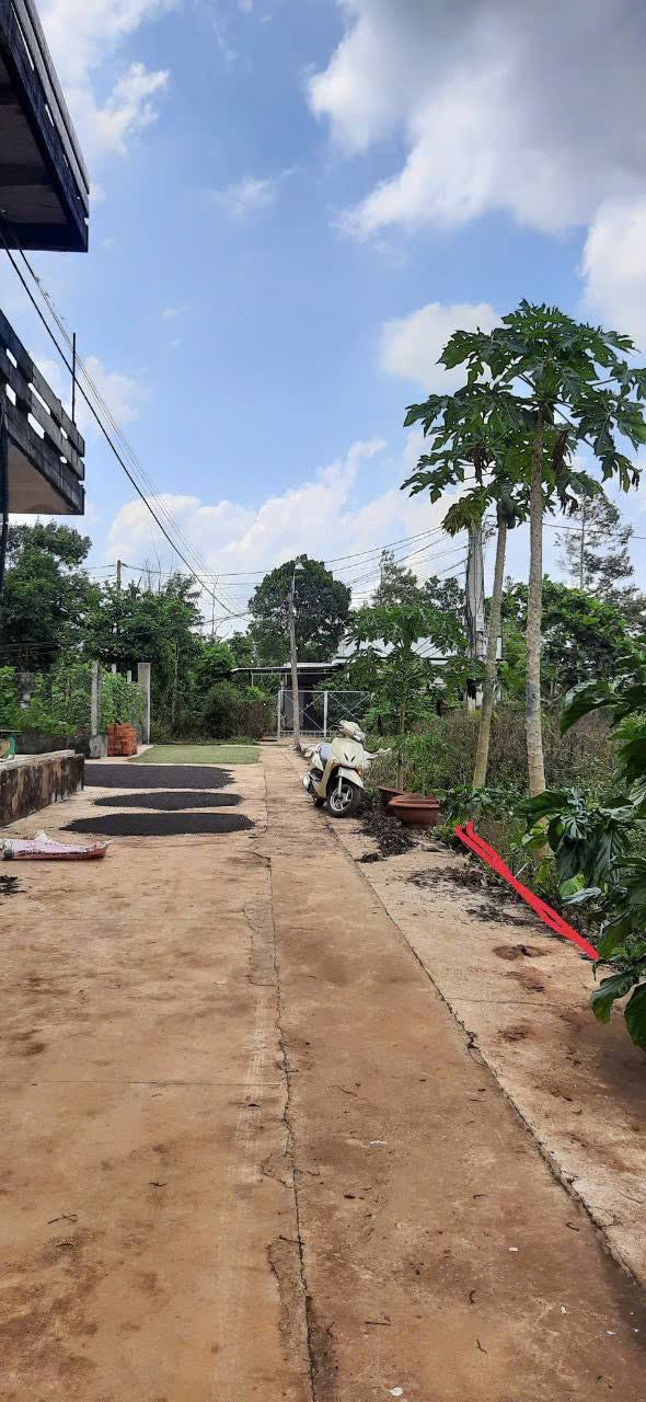 Lô đất Ea Tu Buôn Ma Thuột 110m² giá 735 triệu - Đường bê tông rộng rãi!