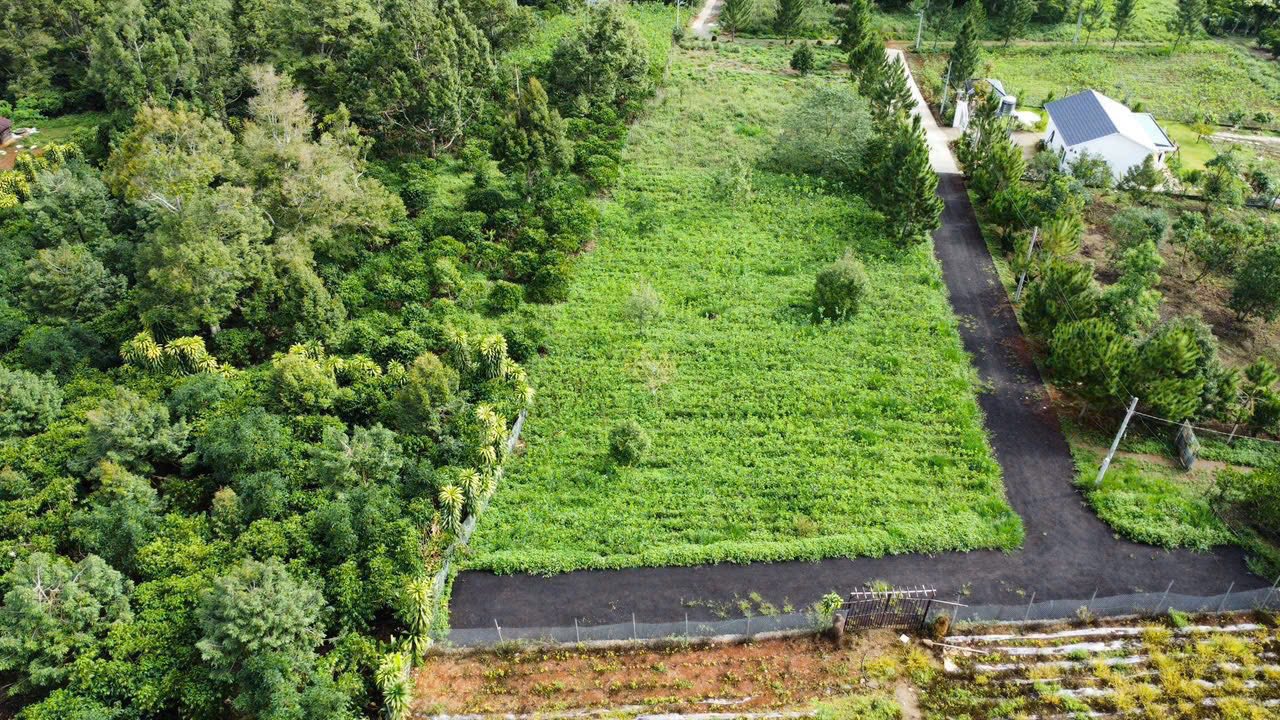 Đất nông nghiệp 1,6 sào đường Hoài Thanh TP Bảo Lộc - Giá chỉ 2,6 tỷ