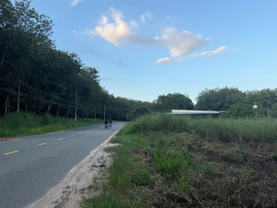 Đất nền ĐT750, Bàu Bàng - 693m² giá chỉ 2.5 tỷ - Đầu tư sinh lời ngay!