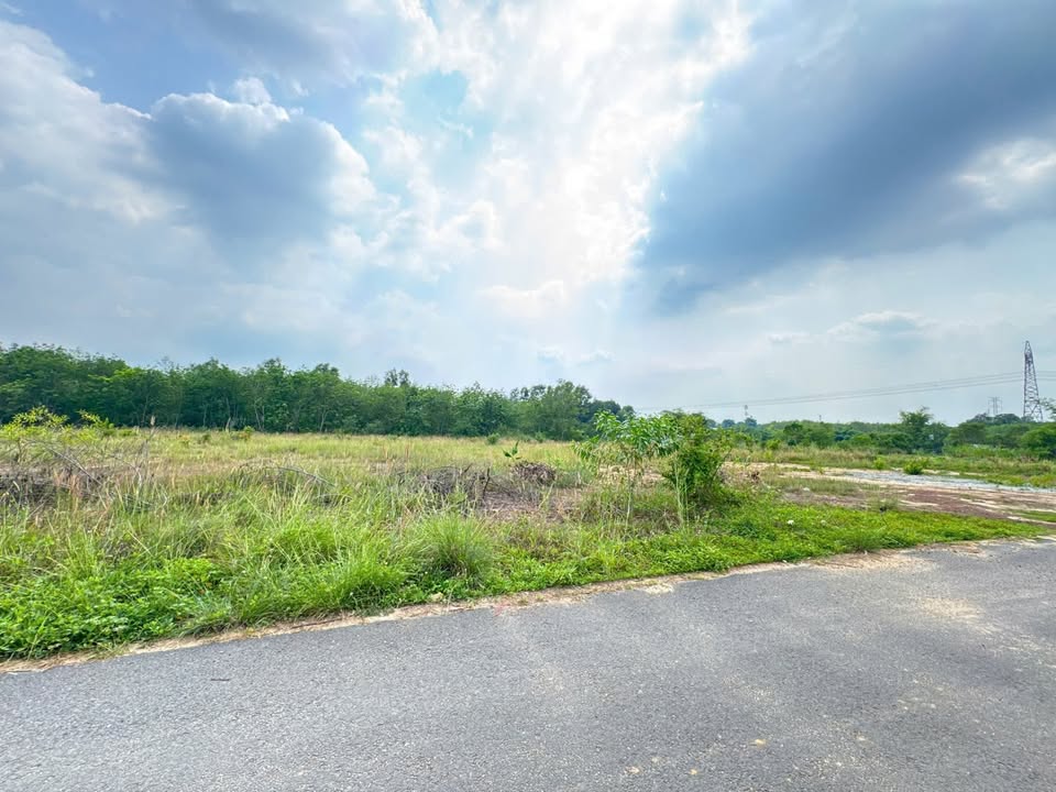 Đất nền Hòa Lợi, Bình Dương 115m² giá 1.1 tỷ - Đầu tư sinh lời ngay!