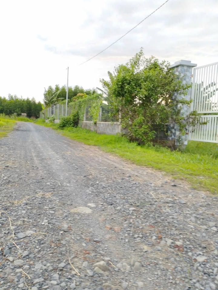 Đất vườn Bình Lợi, Vĩnh Cửu 1360m² giá 2.3 tỷ - Đường rộng thoáng mát!