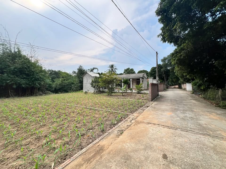 Đất Vạn Xuân Tam Nông 77m² giá 400 triệu - Cơ hội vàng đầu tư không thể bỏ lỡ!