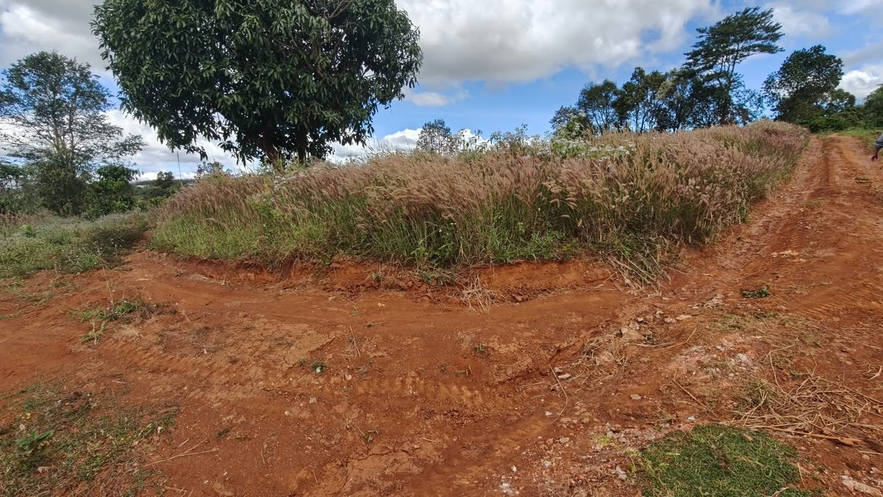 Đất nền 5 sào tại Ia Dêr, Ia Grai - Giá đầu tư hấp dẫn!