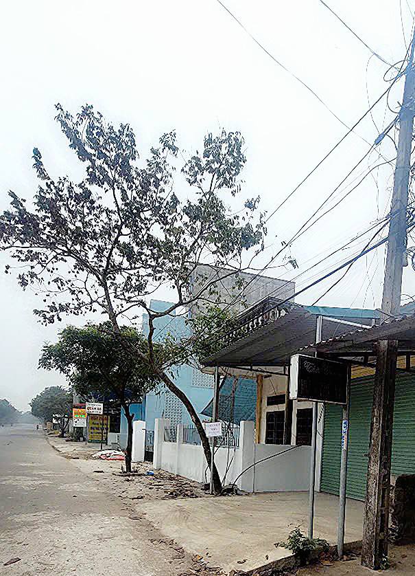 Nhà mặt đường Trục Bái Đính, Phường Tây Hoa Lư 50m² - Cho thuê mặt tiền lý tưởng cho kinh doanh!