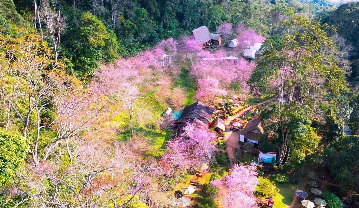 Đất nền Măng Đen 23m² giá 700 triệu - View đẹp, sẵn nhà cho thuê!